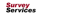 Survey Services